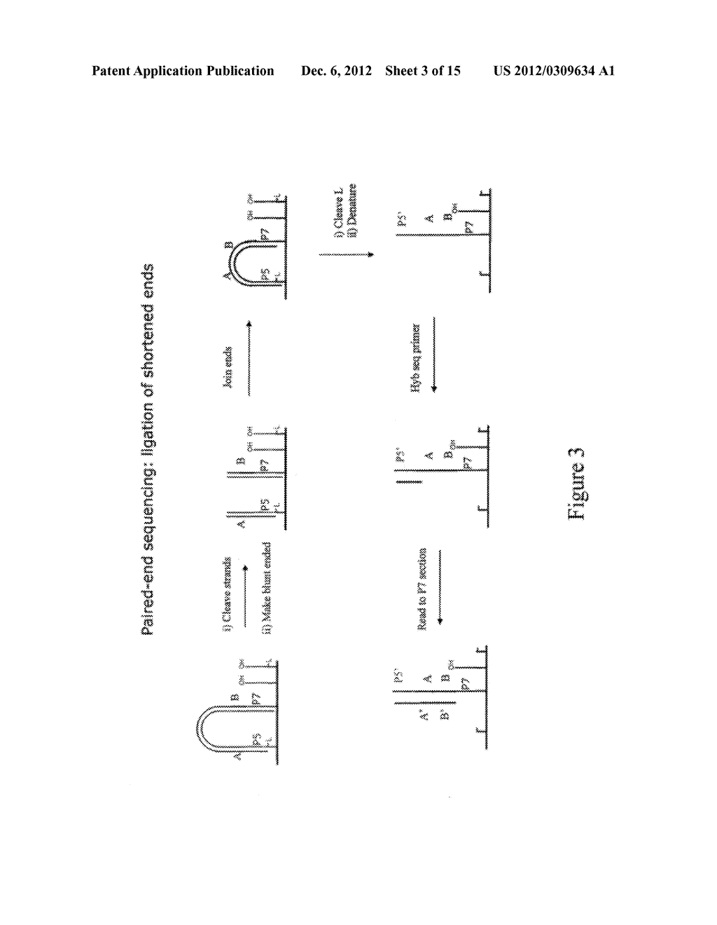 METHOD FOR PAIRWISE SEQUENCING OF TARGET POLYNUCLEOTIDES - diagram, schematic, and image 04