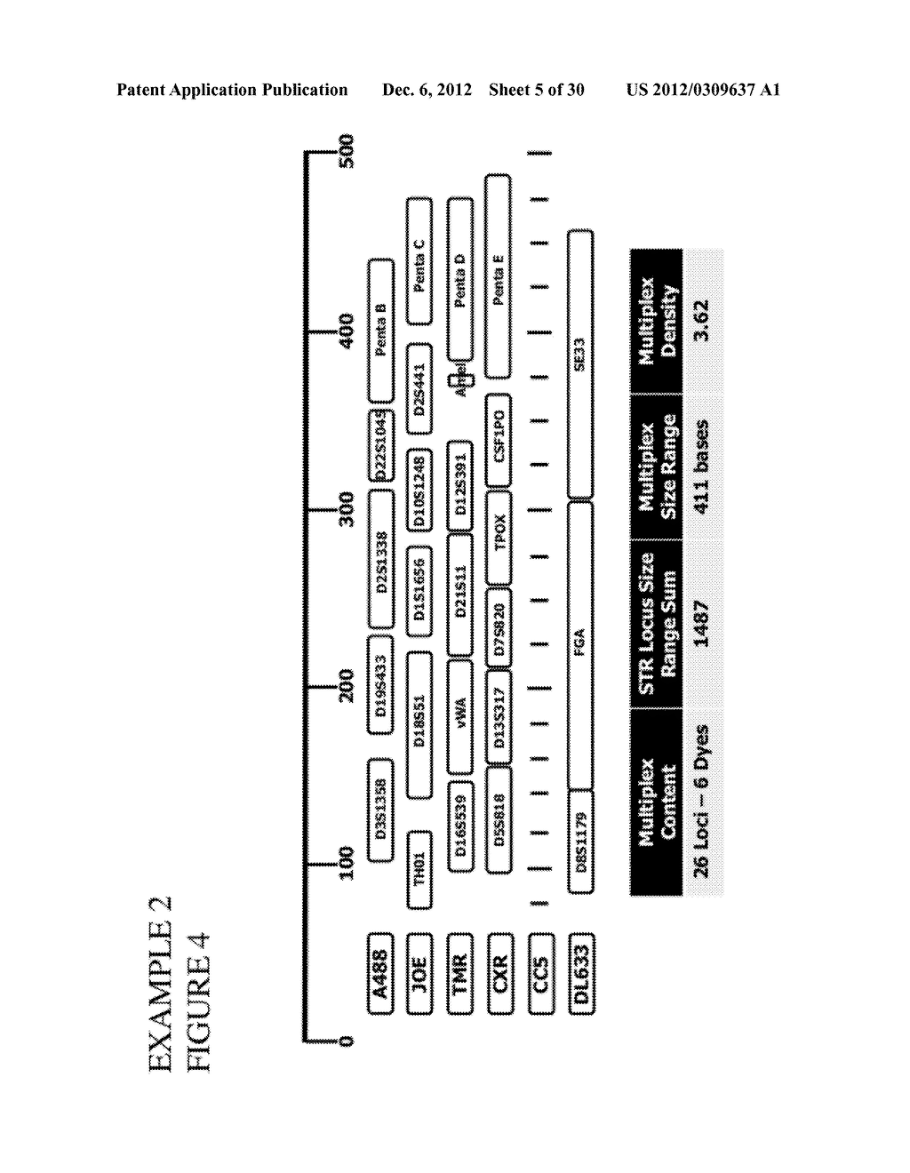 METHODS AND COMPOSITIONS FOR RAPID MULTIPLEX AMPLIFICATION OF STR LOCI - diagram, schematic, and image 06