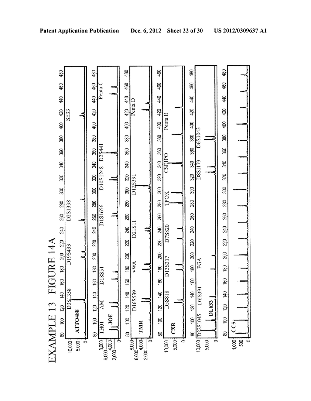 METHODS AND COMPOSITIONS FOR RAPID MULTIPLEX AMPLIFICATION OF STR LOCI - diagram, schematic, and image 23