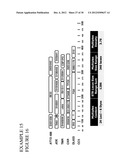 METHODS AND COMPOSITIONS FOR RAPID MULTIPLEX AMPLIFICATION OF STR LOCI diagram and image