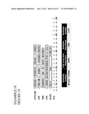 METHODS AND COMPOSITIONS FOR RAPID MULTIPLEX AMPLIFICATION OF STR LOCI diagram and image