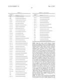 METHODS AND COMPOSITIONS FOR RAPID MULTIPLEX AMPLIFICATION OF STR LOCI diagram and image