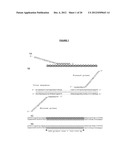 METHOD AND/OR APPARATUS OF OLIGONUCLEOTIDE DESIGN AND/OR NUCLEIC ACID     DETECTION diagram and image