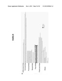 METHOD AND/OR APPARATUS OF OLIGONUCLEOTIDE DESIGN AND/OR NUCLEIC ACID     DETECTION diagram and image