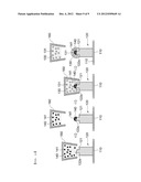 CELL CHIP AND METHOD FOR MANUFACTURING THE SAME diagram and image
