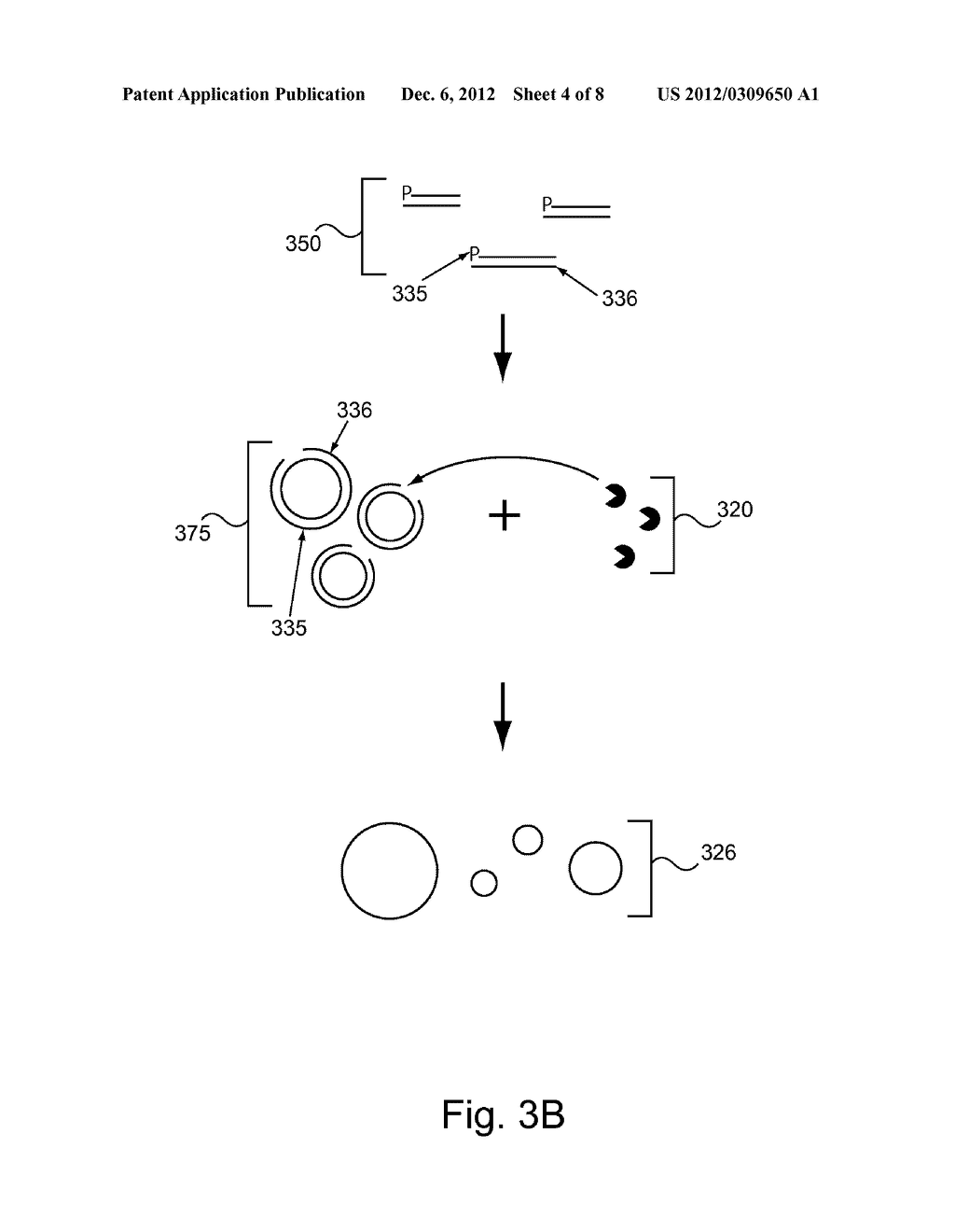 METHODS AND COMPOSITIONS FOR NUCLEIC ACID SAMPLE PREPARATION - diagram, schematic, and image 05