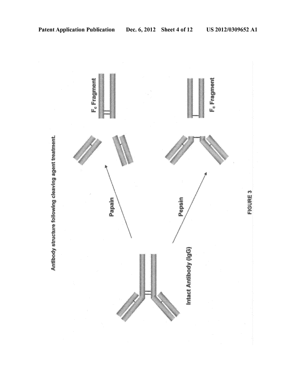 Restricted Access Media and Methods for Making Restricted Access Media - diagram, schematic, and image 05
