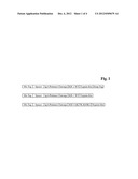 IGF-I POLY (ETHYLENE GLYCOL) CONJUGATES diagram and image