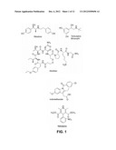 PROSTAGLANDIN-F2 ALPHA RECEPTOR MODULATORS AND USES THEREOF diagram and image