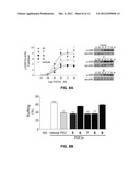 PROSTAGLANDIN-F2 ALPHA RECEPTOR MODULATORS AND USES THEREOF diagram and image