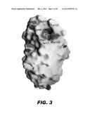 COMPOUNDS AND METHODS FOR TREATING BACTERIAL INFECTIONS diagram and image