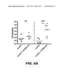 COMPOUNDS AND METHODS FOR TREATING BACTERIAL INFECTIONS diagram and image