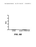 COMPOUNDS AND METHODS FOR TREATING BACTERIAL INFECTIONS diagram and image