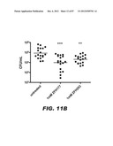 COMPOUNDS AND METHODS FOR TREATING BACTERIAL INFECTIONS diagram and image