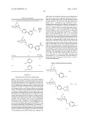 COMPOUNDS AND METHODS FOR TREATING BACTERIAL INFECTIONS diagram and image