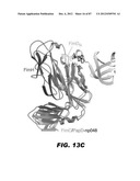 COMPOUNDS AND METHODS FOR TREATING BACTERIAL INFECTIONS diagram and image