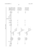 COMPOUNDS AND METHODS FOR TREATING BACTERIAL INFECTIONS diagram and image