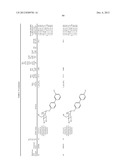 COMPOUNDS AND METHODS FOR TREATING BACTERIAL INFECTIONS diagram and image