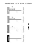 COMPOUNDS AND METHODS FOR TREATING BACTERIAL INFECTIONS diagram and image