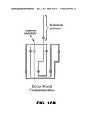 COMPOUNDS AND METHODS FOR TREATING BACTERIAL INFECTIONS diagram and image