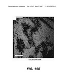 COMPOUNDS AND METHODS FOR TREATING BACTERIAL INFECTIONS diagram and image