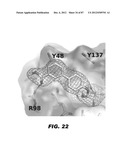 COMPOUNDS AND METHODS FOR TREATING BACTERIAL INFECTIONS diagram and image