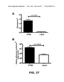 COMPOUNDS AND METHODS FOR TREATING BACTERIAL INFECTIONS diagram and image