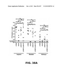 COMPOUNDS AND METHODS FOR TREATING BACTERIAL INFECTIONS diagram and image