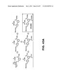 COMPOUNDS AND METHODS FOR TREATING BACTERIAL INFECTIONS diagram and image