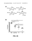 COMPOUNDS AND METHODS FOR TREATING BACTERIAL INFECTIONS diagram and image