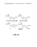 COMPOUNDS AND METHODS FOR TREATING BACTERIAL INFECTIONS diagram and image