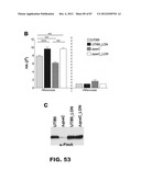 COMPOUNDS AND METHODS FOR TREATING BACTERIAL INFECTIONS diagram and image