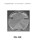 COMPOUNDS AND METHODS FOR TREATING BACTERIAL INFECTIONS diagram and image