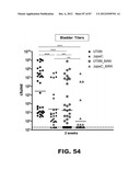 COMPOUNDS AND METHODS FOR TREATING BACTERIAL INFECTIONS diagram and image