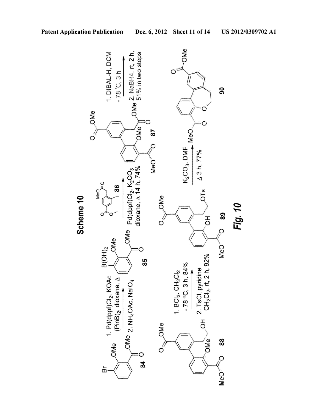 DYNAMIC INHIBITORS OF HEAT SHOCK PROTEIN 90 - diagram, schematic, and image 12