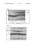 METHOD FOR TREATMENT OF LACTO-N-BIOSE-CONTAINING SOLUTION diagram and image