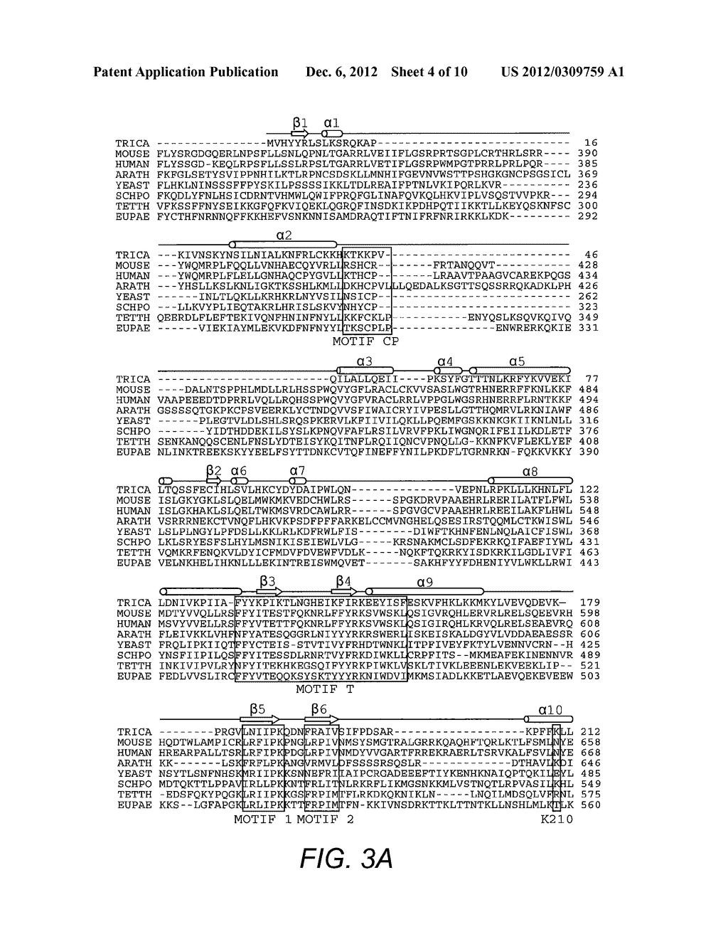 Screening Method and Compounds for Modulating Telomerase Activity - diagram, schematic, and image 05