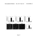 Use of epigallocatechin-3-gallate for immune regulation diagram and image