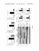 Use of epigallocatechin-3-gallate for immune regulation diagram and image