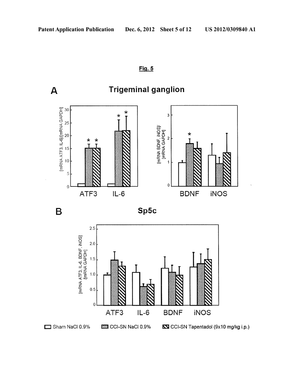 Treatment of Pain Associated with Trigeminal Neuralgia - diagram, schematic, and image 06