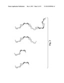 GLYCOSYLATED REPEAT-MOTIF-MOLECULE CONJUGATES diagram and image