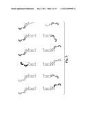 GLYCOSYLATED REPEAT-MOTIF-MOLECULE CONJUGATES diagram and image