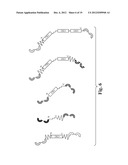 GLYCOSYLATED REPEAT-MOTIF-MOLECULE CONJUGATES diagram and image