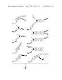 GLYCOSYLATED REPEAT-MOTIF-MOLECULE CONJUGATES diagram and image