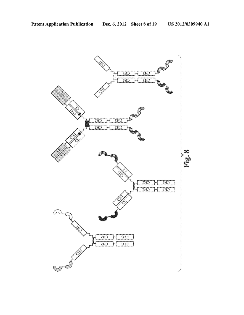 GLYCOSYLATED REPEAT-MOTIF-MOLECULE CONJUGATES - diagram, schematic, and image 09