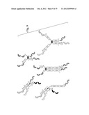 GLYCOSYLATED REPEAT-MOTIF-MOLECULE CONJUGATES diagram and image