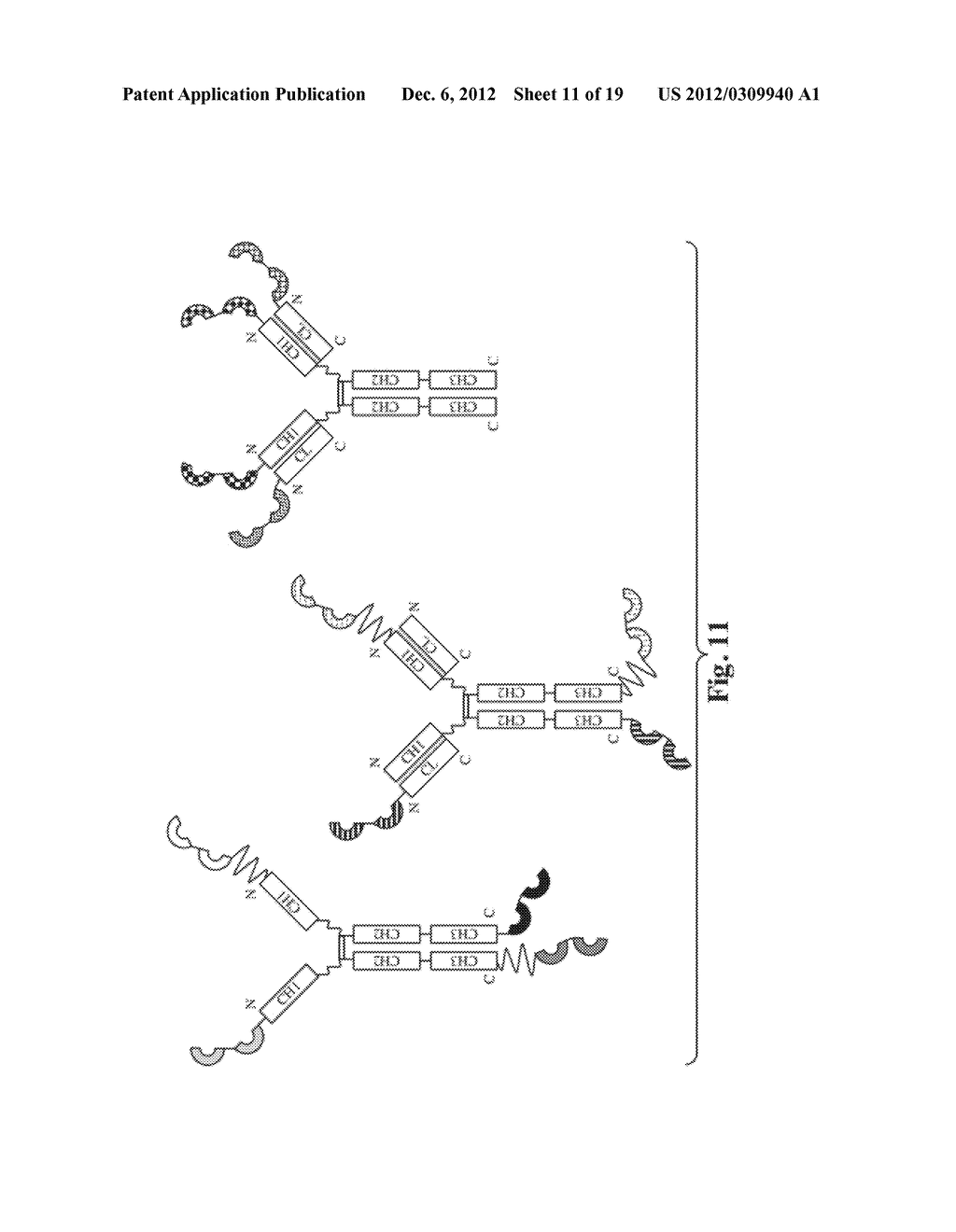 GLYCOSYLATED REPEAT-MOTIF-MOLECULE CONJUGATES - diagram, schematic, and image 12