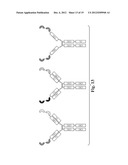 GLYCOSYLATED REPEAT-MOTIF-MOLECULE CONJUGATES diagram and image