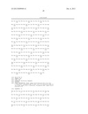 GLYCOSYLATED REPEAT-MOTIF-MOLECULE CONJUGATES diagram and image