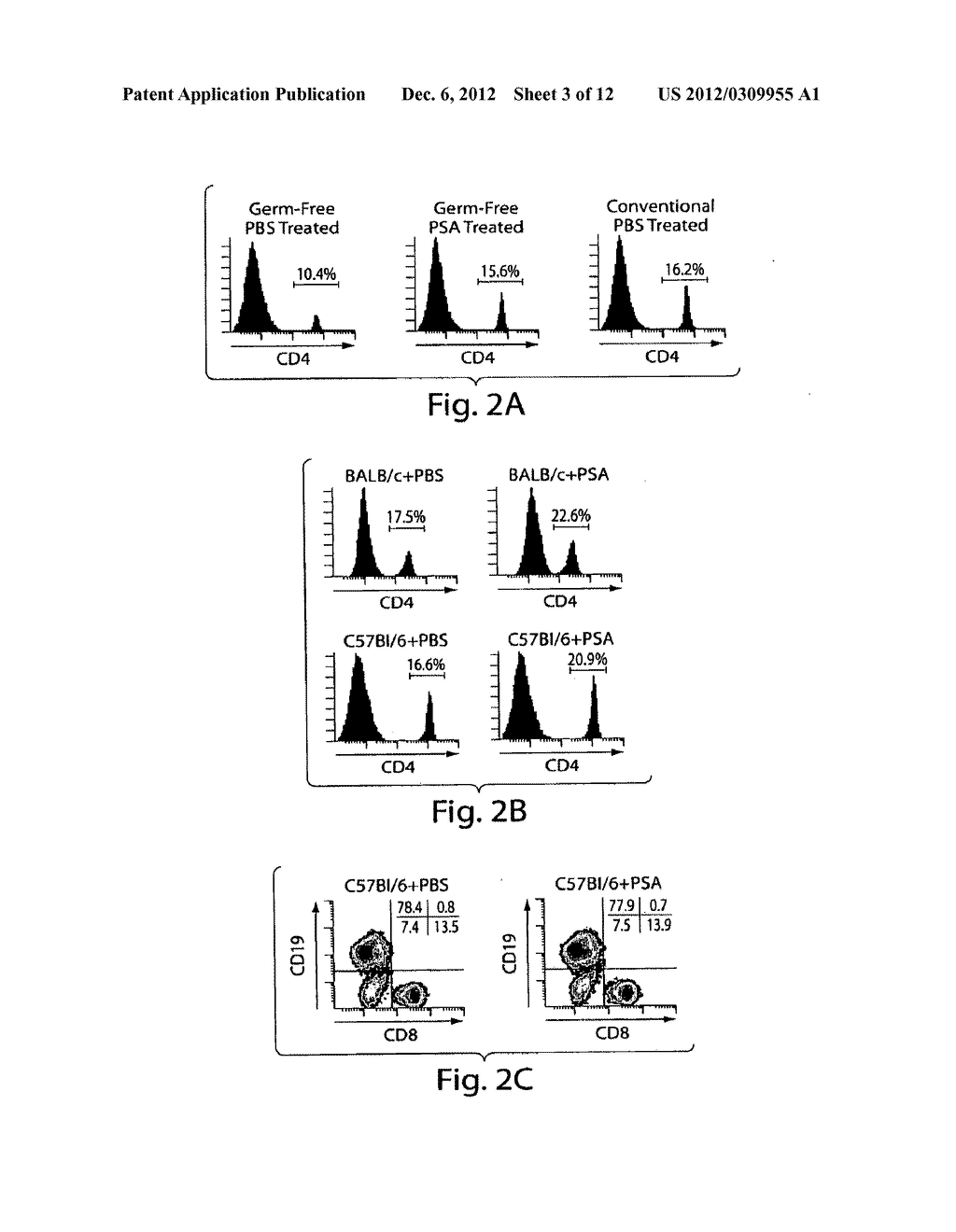 ZWITTERIONIC POLYSACCHARIDES FOR PROMOTION OF IMMUNE SYSTEM MATURATION AND     HEALTH - diagram, schematic, and image 04